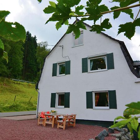 Fabulous Holiday Home in Olsberg near Ski Area Elpe Dış mekan fotoğraf